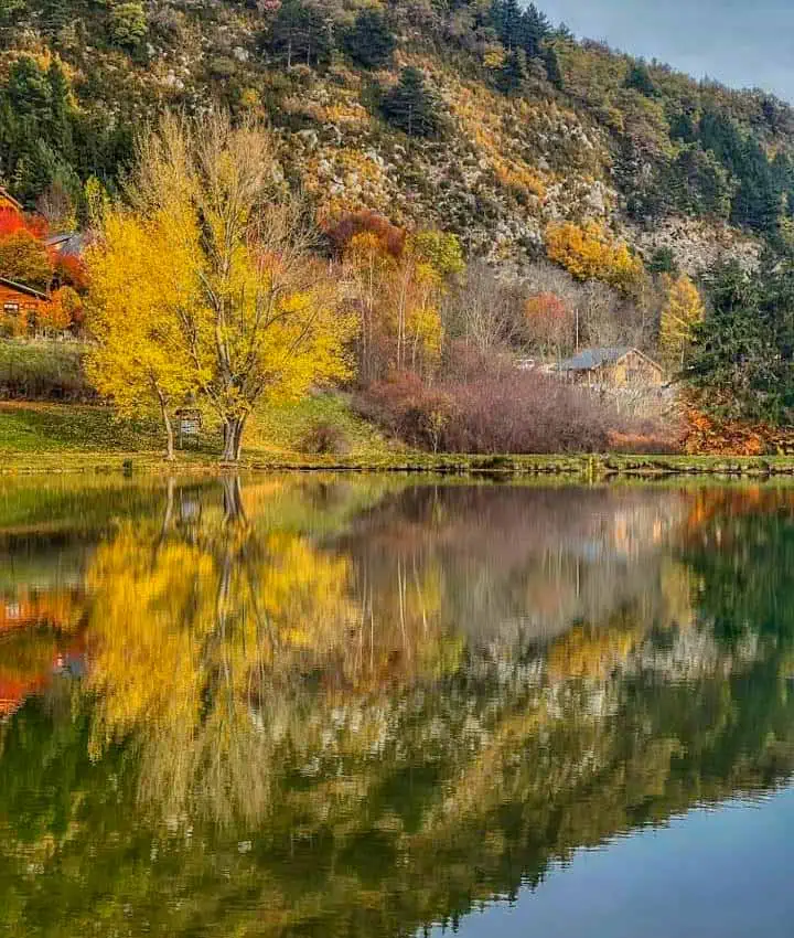 Lac Arbres Camping les Chalets du Lac