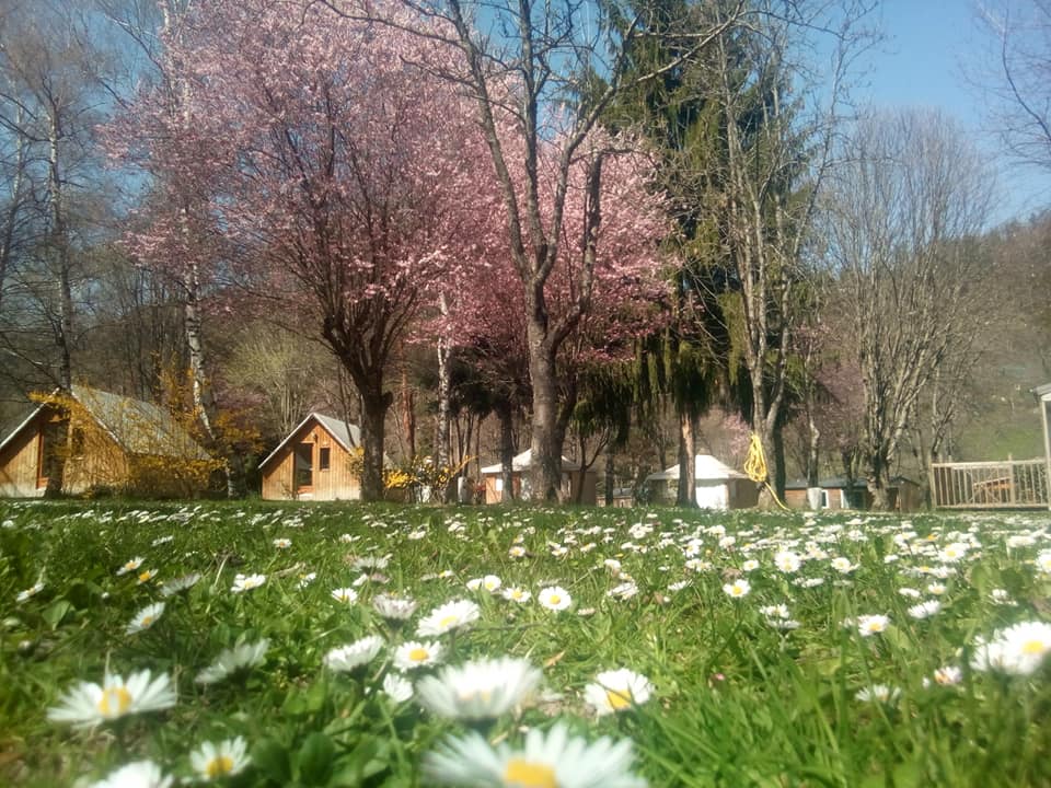 Camping abierto todo el año en el lago Belcaire