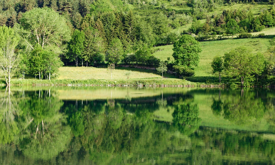 Lake Belcaire copy