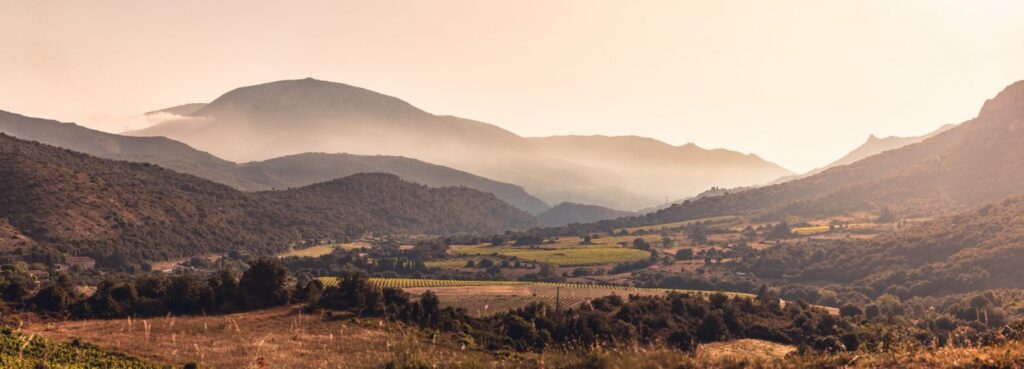 vue sur les vignes dans les corbières ©vincent photographie adt de l aude 1455x525