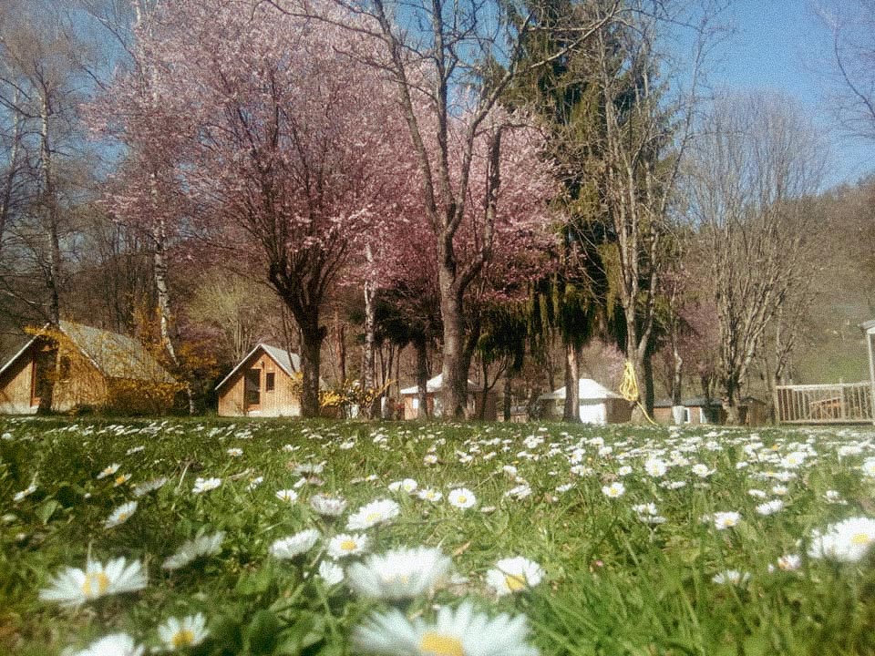 chalet lac belcaire